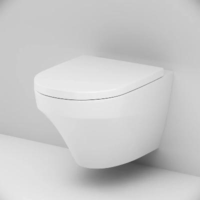 Унитаз подвесной AM.PM Inspire C501700WH безободковый c сиденьем микролифт C907851WP, белый