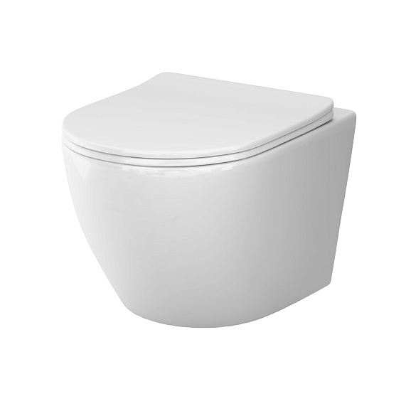 Унитаз подвесной AM.PM Like C801900SC торнадо безободковый с сиденьем микролифт, белый-10