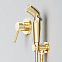 Гигиенический душ со смесителем AM.PM X-Joy S F40H85B99 золото встраиваемый, шланг 1200, держатель