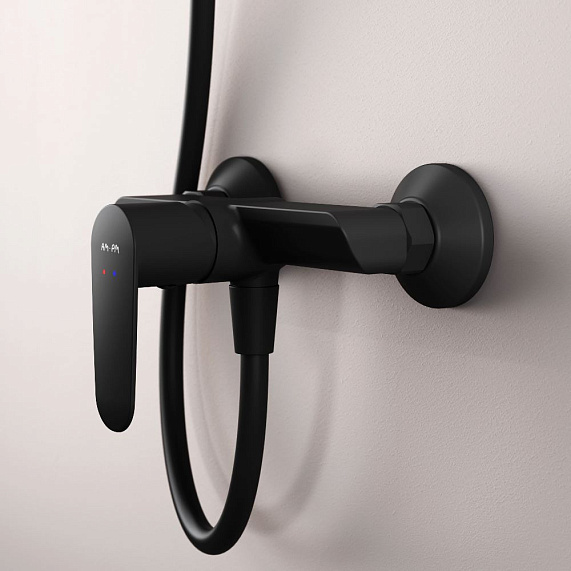 Смеситель для душа AM.PM Above F9X20022 черный-1