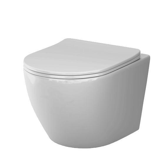 Унитаз подвесной AM.PM Like C801901SC торнадо безободковый с сиденьем микролифт, белый-9