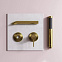 Смеситель для раковины (умывальника) AM.PM Libre F6072619 встраиваемый, брашированное золото